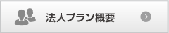 法人プラン概要